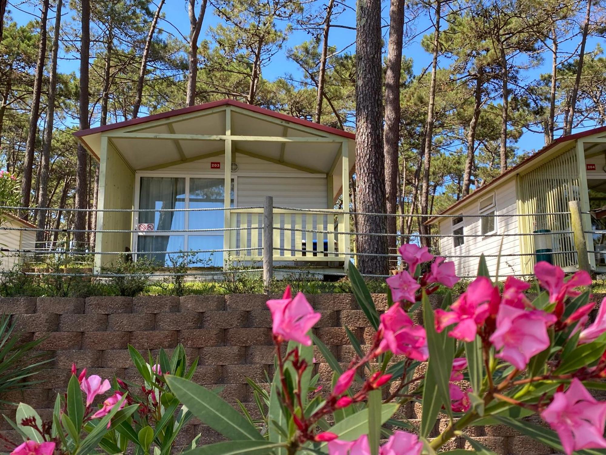 Parque De Campismo Orbitur Valado Hotel นาซาเร ภายนอก รูปภาพ